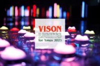 VISON LIGHTS for Xmas 2023