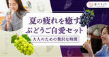 「大人の夏の疲れを癒す「ぶどうご自愛セット」を数量限定で販売開始。爽やかな香りと甘みの「シャインマスカット」や濃厚ピオーネを使った「クラフトビール」など、夏の終わりにぴったりな逸品を産地直送でお届け。」の画像1