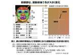 「顔写真の色を用いて深部体温を推定できる可能性を発見」の画像1