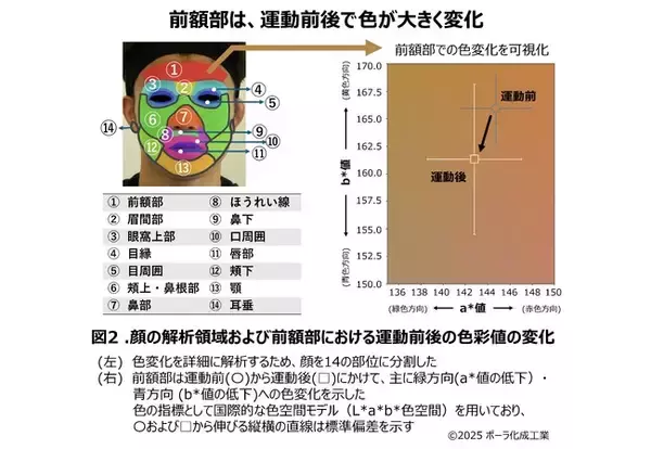顔写真の色を用いて深部体温を推定できる可能性を発見