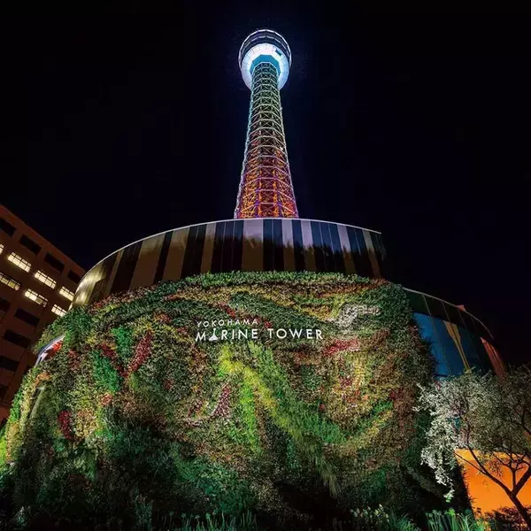 2026年 そごう横浜店 福袋情報