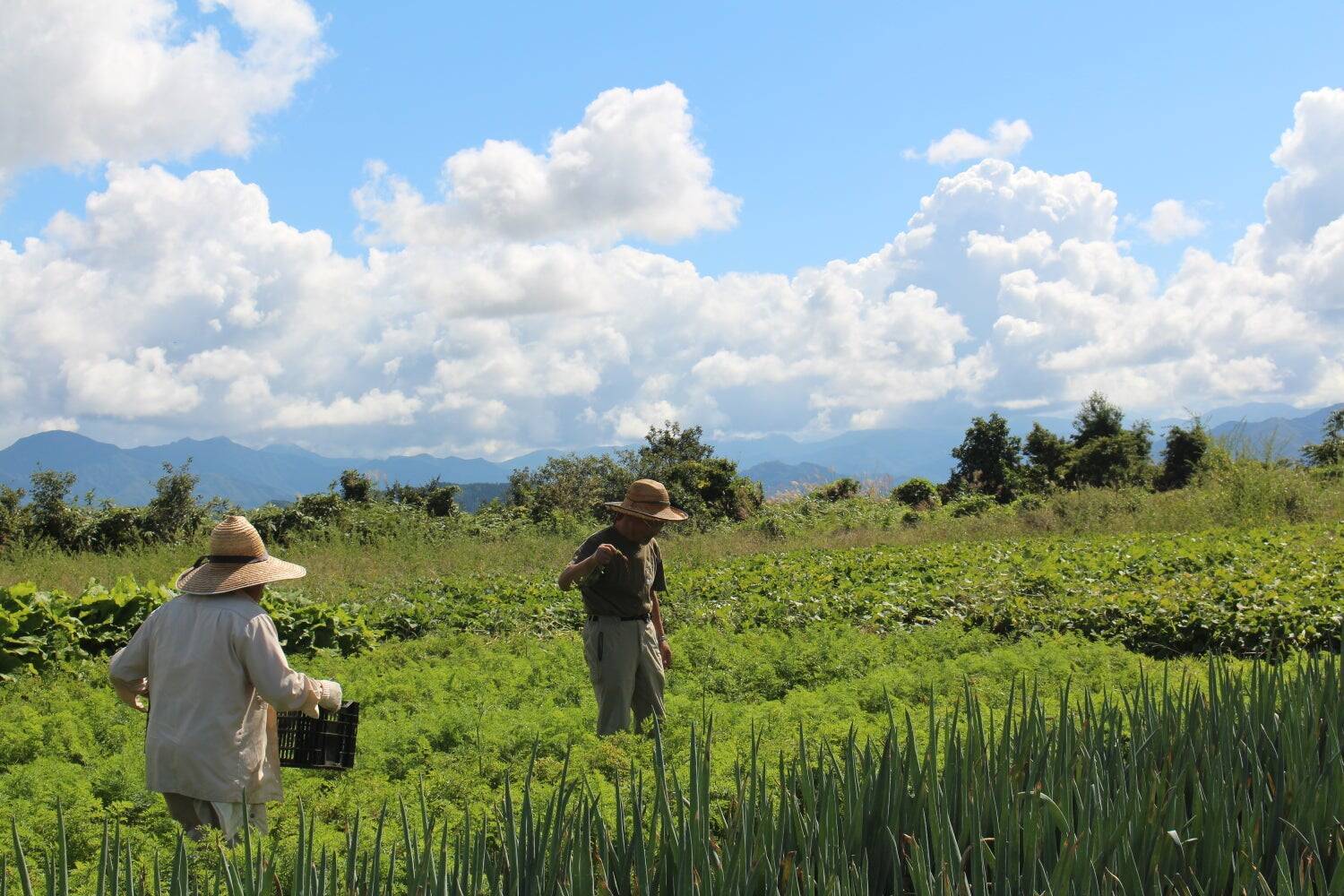 「地域の食」を通じて、地域を見ることを伝える。飲食店発の地域づくりカンパニーが教育事業へ懸ける想い