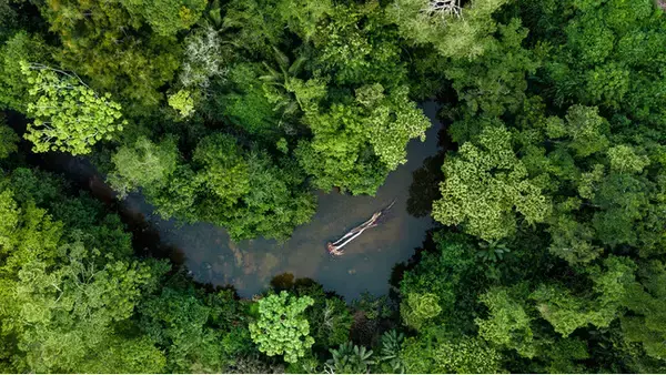 果てなき緑の波、南米の秘境アマゾン！現地旅行会社が今おすすめしたい観光ランキングを発表！