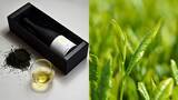 「【2026年 数量限定】最高新鮮を誰よりも早く。2026年度の採れたて新茶のボトリングティー「IBUKI」の予約受付・販売を開始」の画像1
