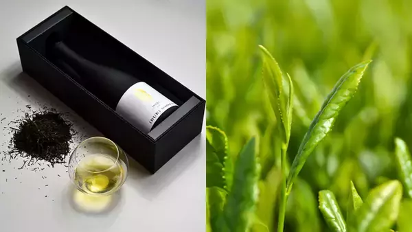 【2026年 数量限定】最高新鮮を誰よりも早く。2026年度の採れたて新茶のボトリングティー「IBUKI」の予約受付・販売を開始