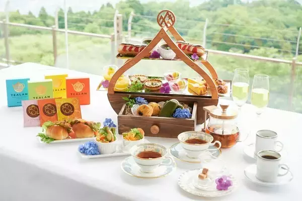 ヒーリングリゾート【別邸 天降る丘】やわらかい新緑に染まる初夏の季節を味わう『初夏の知覧茶アフタヌーンティー』提供開始