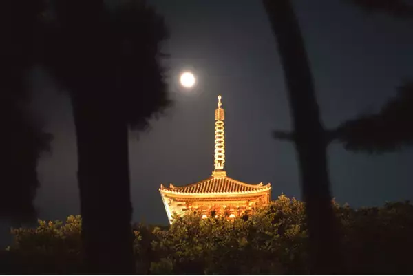 横浜・三溪園　３年ぶりとなる「観月会」を開催