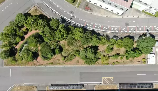 アイシン岡崎東工場のビオトープ「悠久のもり」が主務大臣「自然共生サイト」に認定