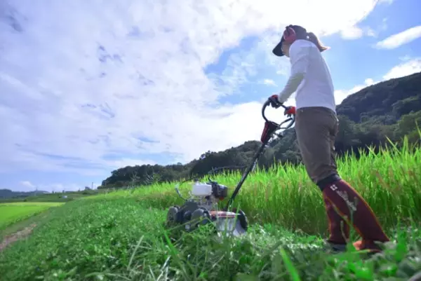 「ハンドル1つで上下左右の簡単操作が可能！コメリより「自走草刈機　速刈り君」が登場！レバーを引いて歩くだけでプロの仕上がり」の画像