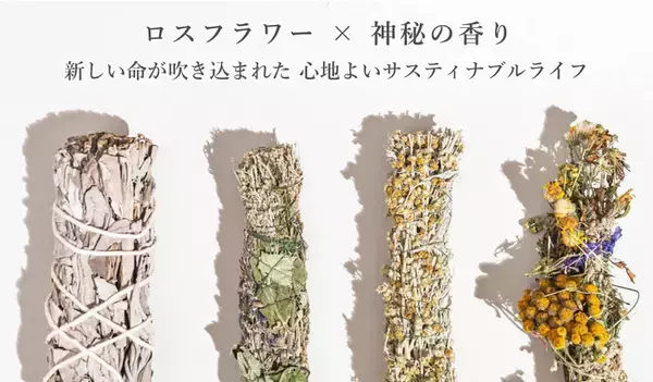聖なる浄化ハーブ「ホワイトセージ」が新登場！お家での使い方や特徴など。半年で販売量9倍と急成長の浄化アイテムに新たに神聖な香り漂う「ホワイトセージ」が加わりさらにパワーアップ！