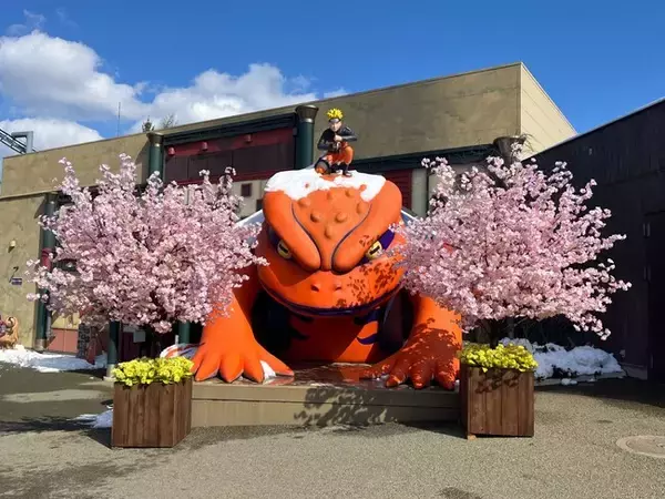 ＮＡＲＵＴＯ×ＢＯＲＵＴＯ 富士 木ノ葉隠れの里 春到来！「サクラ祭り」