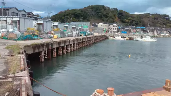 「能登の復興を応援！水産産地をつないだ「産地応援商品の開発」とは？」の画像