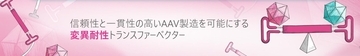AAVベクターの“見えない品質リスク”に挑む──ITR安定化技術から生まれたMuteFree™ AAV