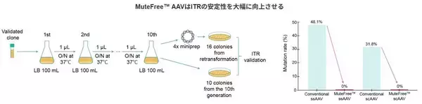 「AAVベクターの“見えない品質リスク”に挑む──ITR安定化技術から生まれたMuteFree™ AAV」の画像