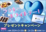 「【セントラル短資ＦＸ】「高性能Androidタブレット NEC LAVIE Tab T10」などが当たるラッキーホワイトデー！プレゼントキャンペーンのお知らせ」の画像1