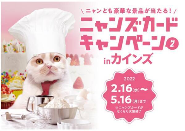 2月22日の 猫の日 にあわせ 総数236名様に豪華賞品が当たる ニャンズカードキャンペーンinカインズ2 を実施 22年2月22日 エキサイトニュース