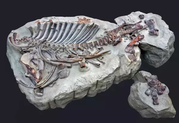 「市内外に魅力を発信する岐阜県瑞浪市『みずなみプロモーション』の取り組み。地域への愛を数値化した【MIZUNAMI×未来＝ミズナミライ値】の向上で持続可能な未来へ」の画像