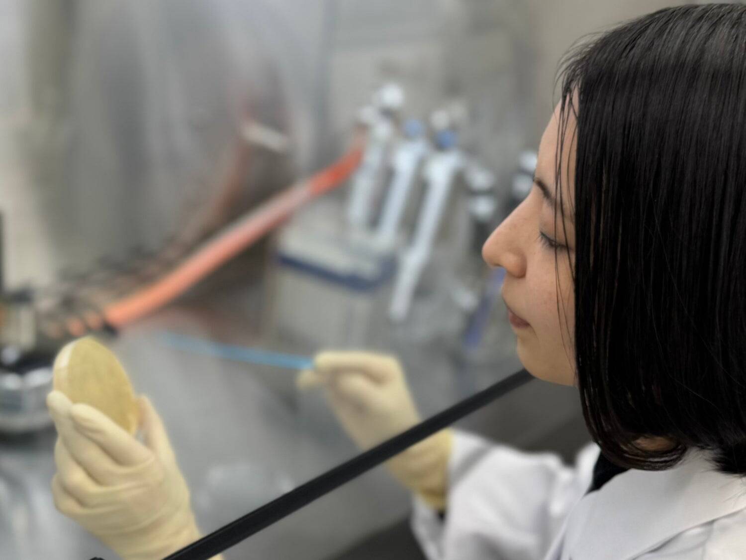 ポリフェノールと腸内環境に着目した最新研究～人生100年時代到来に向けたHMPA開発の裏側～