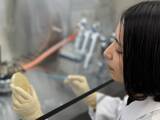 「ポリフェノールと腸内環境に着目した最新研究～人生100年時代到来に向けたHMPA開発の裏側～」の画像3