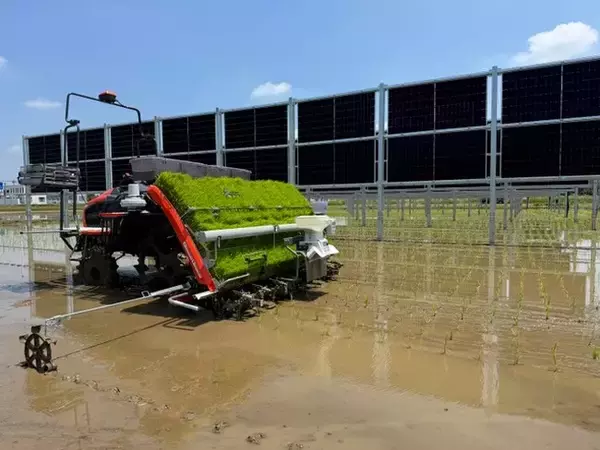 垂直設置型ソーラーシェアリング発電所のオフサイトPPAに関するお知らせ