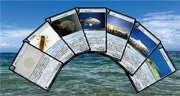 DNPとSoELaと近畿大学　産学連携で子どもたちが琵琶湖周辺の環境課題を学べるカードゲームを制作