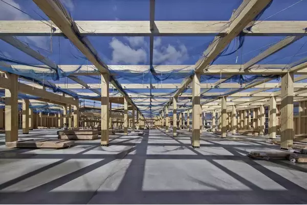 エヌ・シー・エヌ、SE構法による大規模木造建築のオンライン見学会を開催