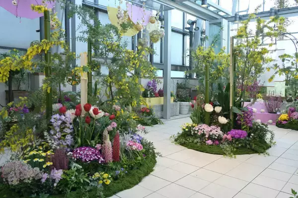 野沢園が、ファンケル銀座スクエア「春のフラワーガーデン2026」で植物装飾を担当