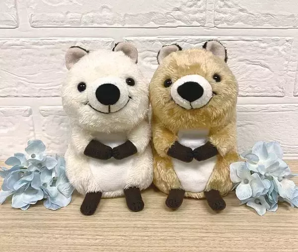 「世界一幸せな動物」クオッカのキュートな笑顔に癒される！ワラビーの仲間クオッカのぬいぐるみが新登場！大人気のカエルキャラクターのブリトーや、ブルーの瞳が印象的な子猫のクルーナなど新作ぬいぐるみも販売