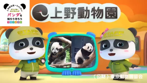 BabyBusが上野動物園とコラボ「ふたごのパンダ成長動画」をYouTubeで本日より無料公開！