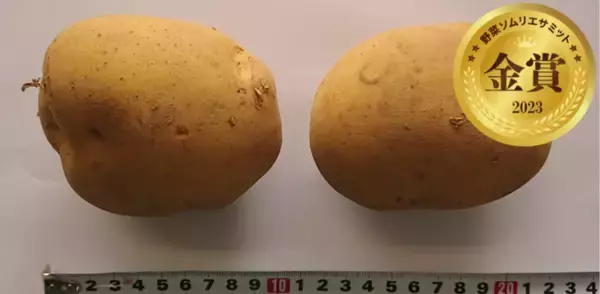 青果物の品評会「野菜ソムリエサミット」2023年6月度結果発表！
