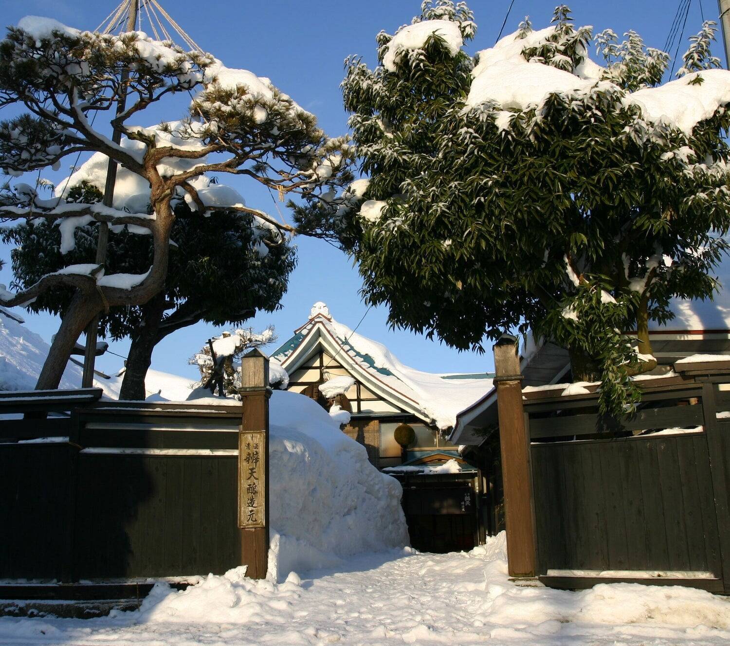 橙色の箔が純米大吟醸酒を舞う。秋の季節を祝う酒「橙椛 -TOUKA-」が生まれた理由