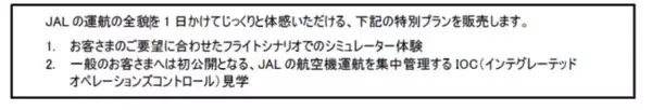 カスタムメイドなフライトシミュレーター体験の販売を開始します