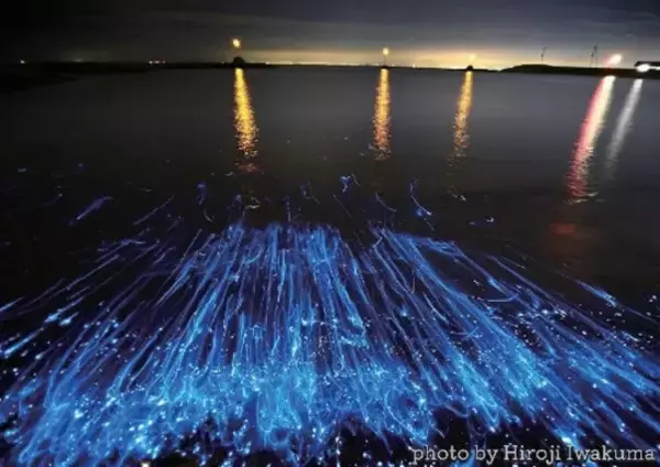 （一社）淡路島観光協会が、淡路島西海岸にてSmile Ribbonが主催する「世界初の海ホタルショー」を販売