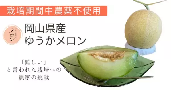 西日本初【栽培期間中農薬不使用】“ゆうかメロン”本格販売スタートへ。Readyforクラファンで成功！