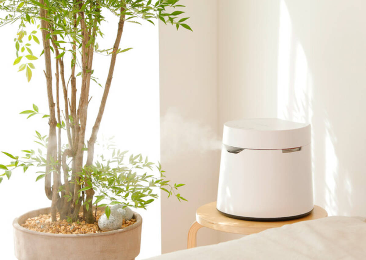 Carepodの加湿器が全品4,000円引き！「春の新生活応援フェア」を3月19 