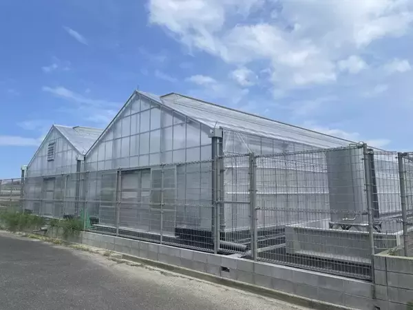 「【産学連携】プラズマアグリ研究で世界をリードする九州大学とwelzo、独自技術により8,000億円市場の有機肥料に対しCO2 排出ゼロの窒素肥料を開発へ　持続可能な農業を目指す共同研究をスタート」の画像