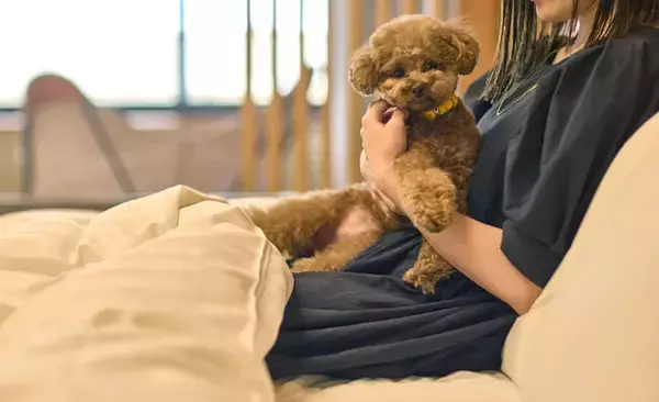 奈良ではまだ少ない愛犬と泊まれるリゾートホテル　3室限定の「ドッグルーム」を販売開始