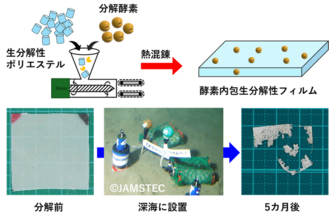 深海でも分解が進む酵素内包生分解性プラスチックの開発に成功しました