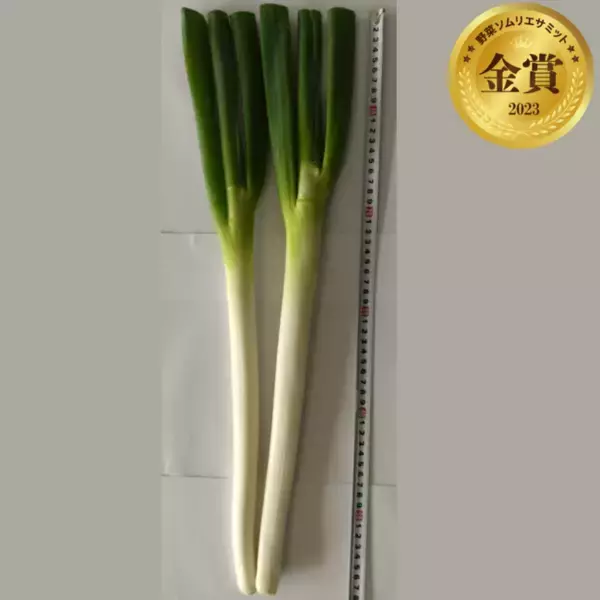 青果物の品評会「野菜ソムリエサミット」2023年11月度結果発表！