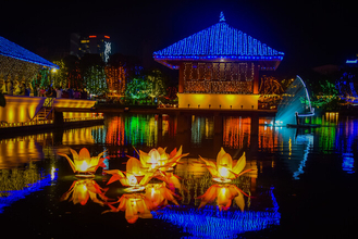 一年中、祝祭の島スリランカへ。Oooh（ウー）、スリランカ旅行の新規取り扱いを開始。