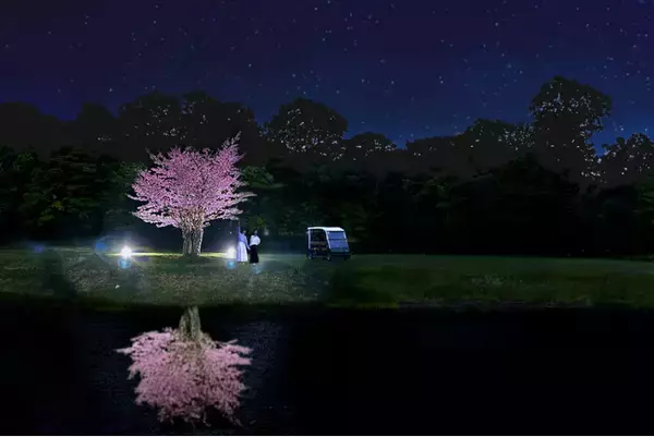 【函館大沼プリンスホテル】夜に見上げる1桜　ゴルフカートで行く夜桜ツアー