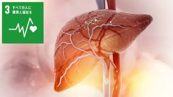 「鉄」が肝臓を壊す？新たな細胞死「フェロトーシス」の正体