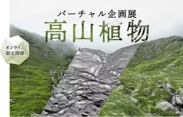 【国立科学博物館】国立科学博物館フルバーチャル企画展「高山植物」 開催！～バーチャル登山から保全まで～