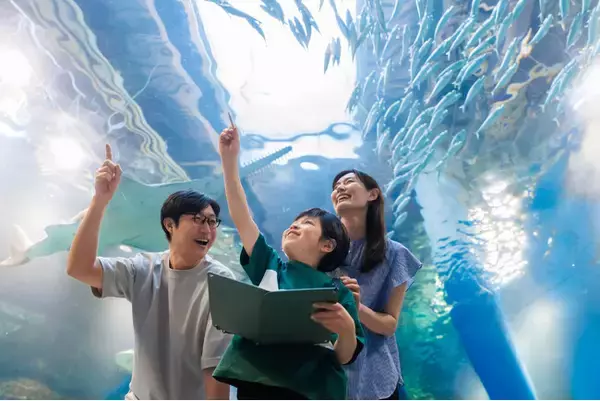 【品川プリンスホテル】ホテル滞在×夏休み自由研究 イルカにスペシャルアイスをプレゼントする夏の特別体験