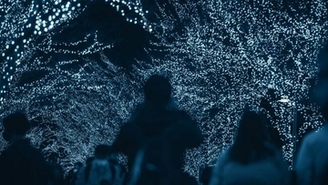 夜の世界を光で彩るイルミネーションについて大調査！【1000人アンケート】