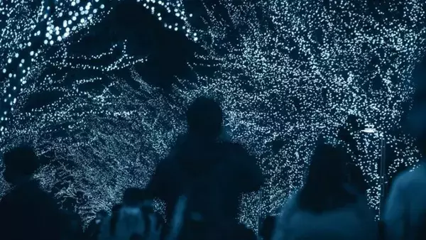 夜の世界を光で彩るイルミネーションについて大調査！【1000人アンケート】