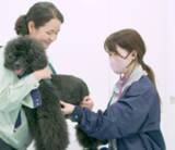 「【残り6日】「人と動物が共生するまち」を目指して、愛知県豊橋市が実施中のクラウドファンディングへの温かいご支援をお願いします！！」の画像1