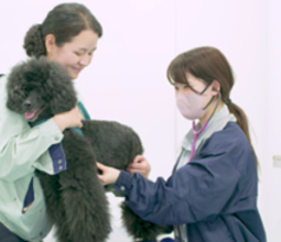 【残り6日】「人と動物が共生するまち」を目指して、愛知県豊橋市が実施中のクラウドファンディングへの温かいご支援をお願いします！！