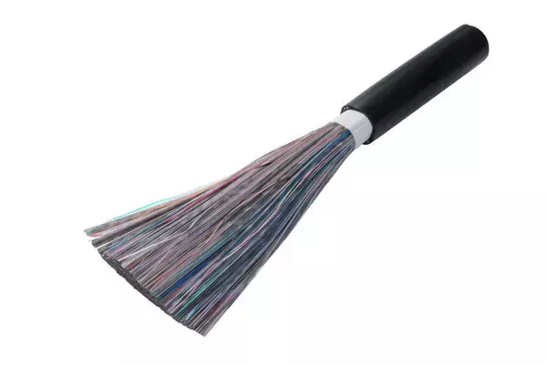 世界最高の超多心光ファイバケーブル「13824心SWR(R)/WTC(R)」が「2025年日経優秀製品・サービス賞 最優秀賞」を受賞