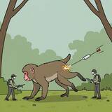 「日本"初"のニホンザル保護管理の専門会社「サル対策所」設立」の画像1